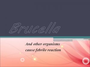 Brucella And other organisms cause febrile reaction Febrile