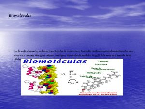 Biomolculas Las biomolculas son las molculas constituyentes de