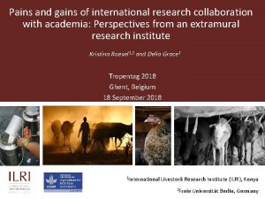 Pains and gains of international research collaboration with