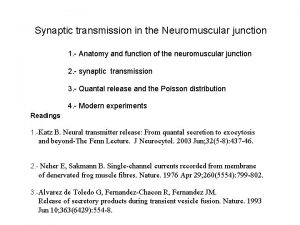 Synaptic transmission in the Neuromuscular junction 1 Anatomy