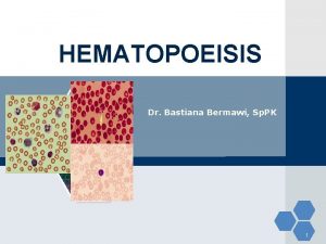 HEMATOPOEISIS Dr Bastiana Bermawi Sp PK 1 Hematopoiesis