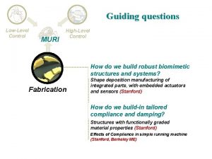 Guiding questions LowLevel Control MURI HighLevel Control How