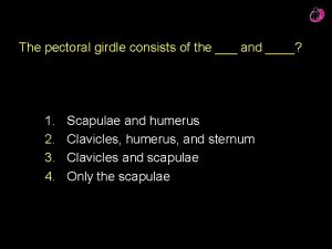 The pectoral girdle consists of the and 1