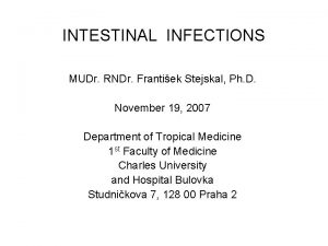 INTESTINAL INFECTIONS MUDr RNDr Frantiek Stejskal Ph D