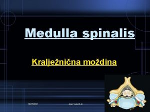 Medulla spinalis Kraljenina modina 10272021 Alen Vukeli dr