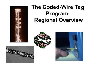 The CodedWire Tag Program Regional Overview Coded Wire