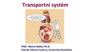 Transportn systm Ph Dr Michal Botek Ph D