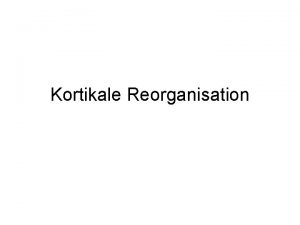 Kortikale Reorganisation Pons 1991 Reorganisation somatosensorischer Areale BA