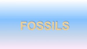 FOSSILS Who studies fossils Paleontologists Paleontology study of