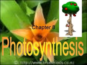 Chapter 8 I Energy and Life Energy ability