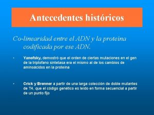 Antecedentes histricos Colinearidad entre el ADN y la