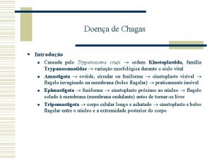 Doena de Chagas w Introduo n n Causada