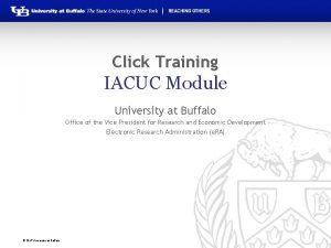 Click Training IACUC Module University at Buffalo Office