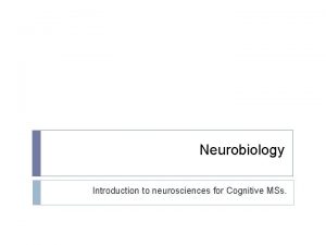 Neurobiology Introduction to neurosciences for Cognitive MSs Homeostasis