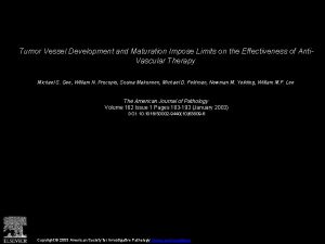 Tumor Vessel Development and Maturation Impose Limits on