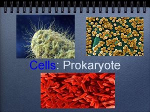 Cells Prokaryote Cells have evolved two different architectures