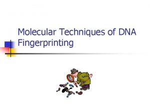 Molecular Techniques of DNA Fingerprinting Restriction Enzyme Digestion