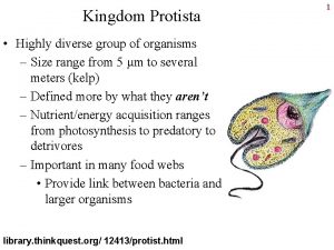 Kingdom Protista Highly diverse group of organisms Size