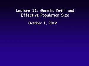 Lecture 11 Genetic Drift and Effective Population Size