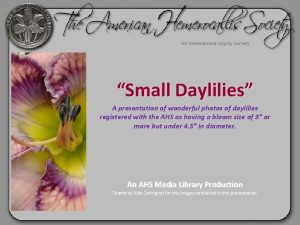 Small Daylilies A presentation of wonderful photos of