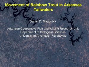 Movement of Rainbow Trout in Arkansas Tailwaters Daniel