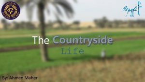 The Countryside Life By Ahmed Maher Egyptian countryside
