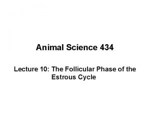 Animal Science 434 Lecture 10 The Follicular Phase