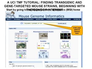 A UCI TMF TUTORIAL FINDING TRANSGENIC AND GENETARGETED