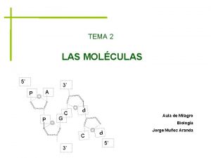 TEMA 2 LAS MOLCULAS 5 3 A Aula