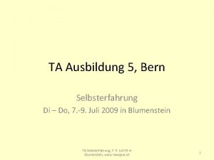 TA Ausbildung 5 Bern Selbsterfahrung Di Do 7