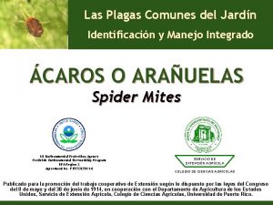 Las Plagas Comunes del Jardn Identificacin y Manejo