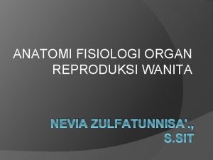 ANATOMI FISIOLOGI ORGAN REPRODUKSI WANITA NEVIA ZULFATUNNISA S