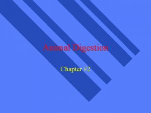 Animal Digestion Chapter 2 What are Nutrients parts