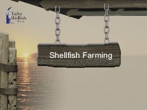 Shellfish Farming Shellfish Farming Our History Shellfish Farming
