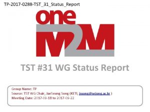 TP2017 0288 TST31StatusReport TST 31 WG Status Report