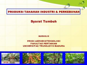 PRODUKSI TANAMAN INDUSTRI PERKEBUNAN Syarat Tumbuh NURHOLIS PRODI