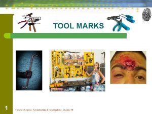 TOOL MARKS 1 Forensic Science Fundamentals Investigations Chapter