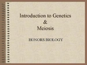 Introduction to Genetics Meiosis HONORS BIOLOGY Genetics study