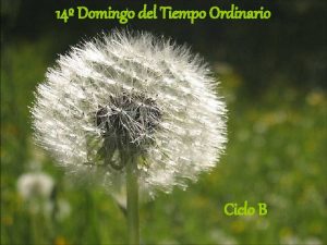 14 Domingo del Tiempo Ordinario Ciclo B Lectura