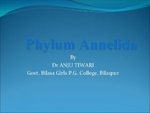 Phylum Annelida By Dr ANJU TIWARI Govt Bilasa