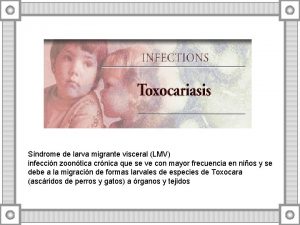 Sndrome de larva migrante visceral LMV infeccin zoontica