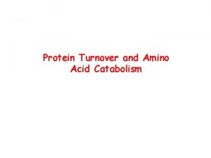 Protein Turnover and Amino Acid Catabolism Protein Degradation