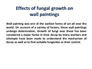 Effects of fungal growth on wall paintings Wall