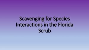 Scavenging for Species Interactions in the Florida Scrub