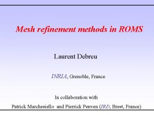 Mesh refinement methods in ROMS Laurent Debreu INRIA