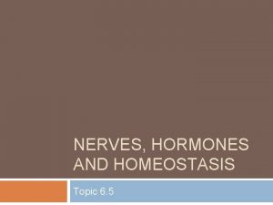 NERVES HORMONES AND HOMEOSTASIS Topic 6 5 Assessment