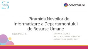 Piramida Nevoilor de Informatizare a Departamentului de Resurse