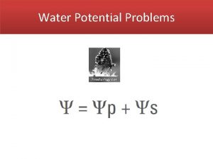 Water Potential Problems Water Potential Water potential of