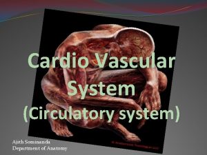 Cardio Vascular System Circulatory system Ajith Sominanda Department