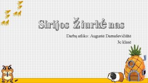 Sirijos iurk nas Darb atliko August Damaeviit 3